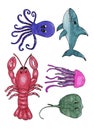 Set the inhabitants of the sea lobster jellyfish Stingray octopus shark