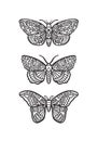 Set Of Contour Butterfly And Moth. Vector Vintage Classic Illustration. Black And White