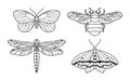 A set of insect icon outlines in a trendy style. Vector linear illustrations of butterflies, bumblebees and dragonflies