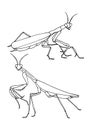 Set of Insect mantis is a simple vector-based illustration. Royalty Free Stock Photo