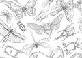 Set of insects: beetles, butterflies, moths and dragonflies.