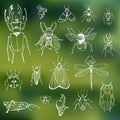 Set insects on a blurred background Royalty Free Stock Photo