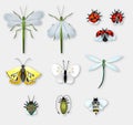 Set with insects: butterflies, dragonflies, ladybugs, beetles, bee, water strider.