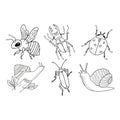 Set of Insects for Coloring Pages.