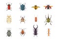 Set of insects flat style vector design icons. Collection nature beetle and zoology cartoon illustration. Bug icon