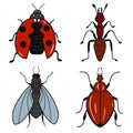 Set of insects icons: ladybug, ant, fly, potato beetle. Colorful sketch. Idea for decors, logo, patterns. Isolated vector art.
