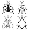 Set of insects icons: ladybug, ant, fly, potato beetle. Contour sketch. Idea for decors, logo, patterns. Isolated vector art.