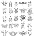 Set of insects illustrations on white background. Design elements for logo, label, emblem, sign, badge.