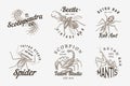 Set of insects logos. Vintage Pets labels for bar or tattoo studio. Bugs Beetles Scorpion Spider Ant Mantis Bee