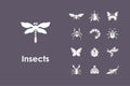 Set of insects simple icons