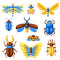 Set of insects. Stylized butterflies, beetles and dragonflies.