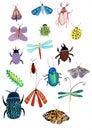 Set of insects watercolor illustration isolated on white background for design Royalty Free Stock Photo