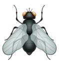 set insects wildlife animals vector illustration