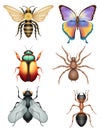 set insects wildlife animals vector illustration Royalty Free Stock Photo