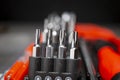 Set of interchangeable screwdriver heads Royalty Free Stock Photo