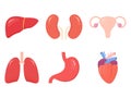 Set of internal human organs icons. Human simple organs Royalty Free Stock Photo