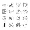 Set of internal organs icons Royalty Free Stock Photo