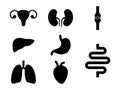 Set of internal organs icons. Human simple organs black shapes collection