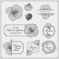 Set of invitation and wedding card design elements. Floral decorative poster, greeting card. Vintage design. Royalty Free Stock Photo