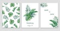 Set of invitations, pattern, bouquet, watercolor bouquet with palm leaves, frame on white background.