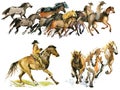 Set of isolate watercolor western cowboy, Wild Horses. American rodeo season.