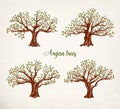 Set of argania or argan fruit trees with leaves Royalty Free Stock Photo