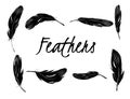 Set of isolated black feathers on transparent background