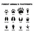 Set isolated black silhouettes of forest animals footprints on white background in flat vector style.