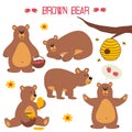 Set of isolated brown bear