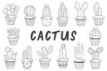 Set of isolated cactus black and white