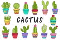 Set of isolated cactus in color