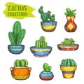 Set of isolated cactus in pot, cactaceae in plate