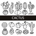 Set of isolated cactus and succulents in black outline. Vector