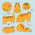 Set of isolated cartoon funny red tabby cats in various positions. Contour color vector illustration.