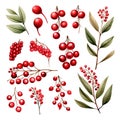 Set of isolated Christmas vintage ornament, Holly branch and red berries decoration in watercolor painting style. Generative AI. Royalty Free Stock Photo