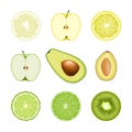 Set of isolated colored circle slices of bergamot, lime, lemon, pomelo, apple, avocado, kiwi, plum on white background. Realistic Royalty Free Stock Photo