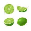 Set of isolated colored green lime, half, slice, circle and whole juicy fruit on white background. Realistic citrus collection.