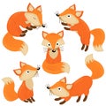 Set of isolated cute foxes part 1 Royalty Free Stock Photo