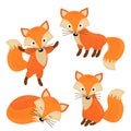 Set of isolated cute foxes part 2 Royalty Free Stock Photo