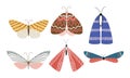 Set of isolated different beautiful colorful butterflies with various patterns Royalty Free Stock Photo