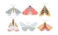 Set of isolated different beautiful colorful butterflies with various patterns on wings Royalty Free Stock Photo