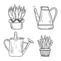 Set of isolated doodle icons in line art style. Houseplants in pots and watering cans or jugs. Black and white stickers of cacti
