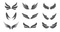 Set isolated Eagle Wings. Vector Illustration and outline Icons Royalty Free Stock Photo