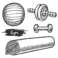 Set of isolated equipment for fitness gym or aerobics