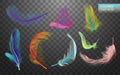 Set of isolated falling colored fluffy twirled feathers on transparent background in realistic style. Light cute