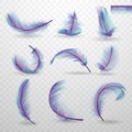 Set of isolated falling colored fluffy twirled feathers on transparent background in realistic style. Light cute Royalty Free Stock Photo