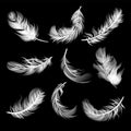 Set of isolated falling white fluffy twirled feathers in realistic style on black background