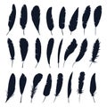 Set of isolated feather silhouette of bird.Plumage