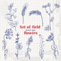 Set of isolated field plants in sketch style on paper