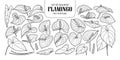 Set of isolated Flamingo in 19 styles. Cute hand drawn flower vector illustration in black outline and white plane. Royalty Free Stock Photo